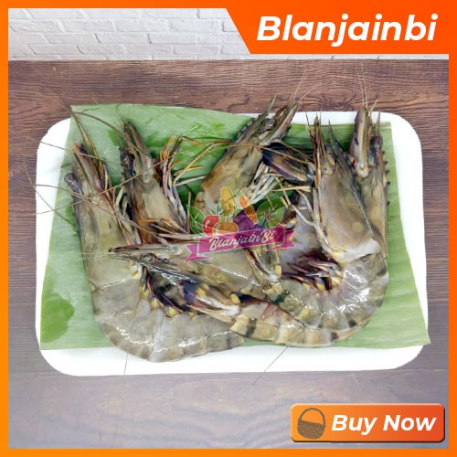 

Udang Windu / Udang Tiger