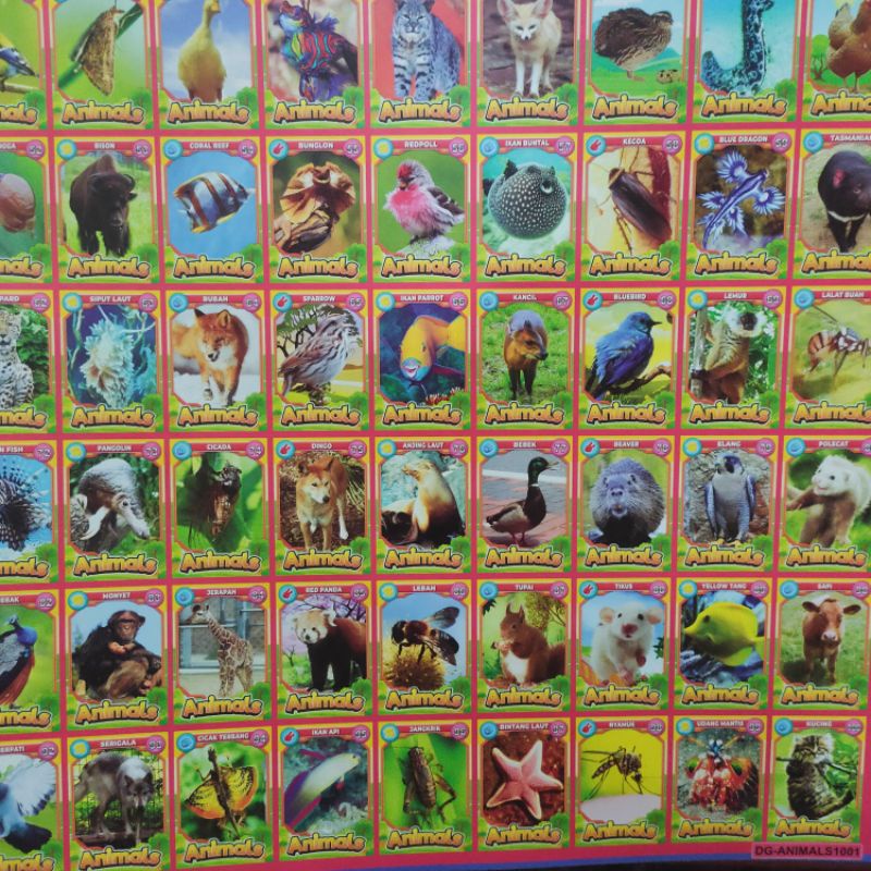 gambar poster adu gepok isi 100   / mainan kartu / mainan anak murah  / kartu gepok / umbul umbulan-Animal