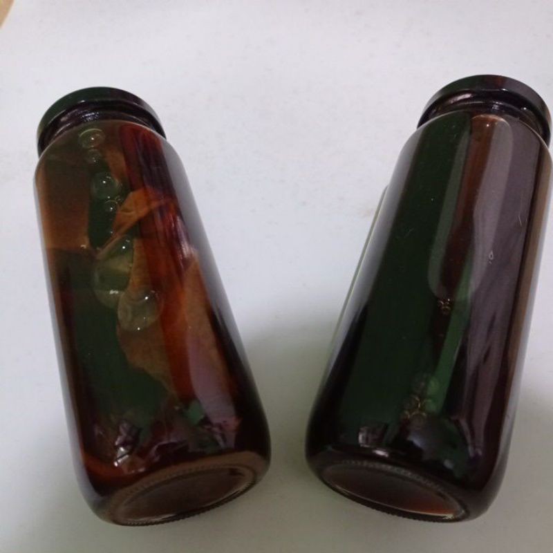 

Extract Daun Ketapang