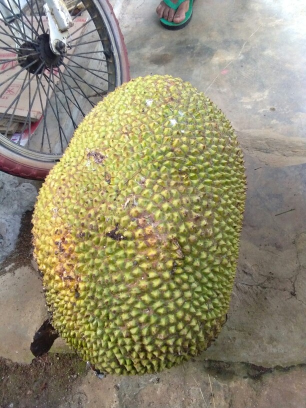 Batik Couple Keluarga Sania Ruffle Ori Ndoro Jowi Dnt Motif Madu Termurah Di Shopee