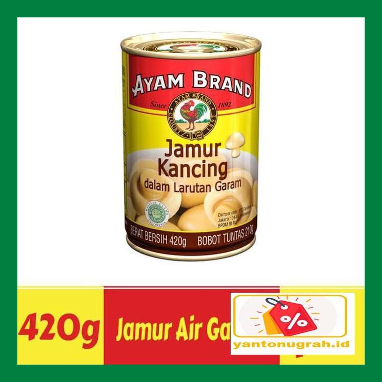 

Ytnksot Paket Isi 3 Pcs Jamur Air Garam Kaleng Ayam Brand 420Gr Sotyt07