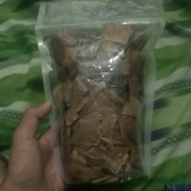 DAUN KETAPANG POTONGAN BUAT AIR IKAN HIAS.CUPANG.DLL