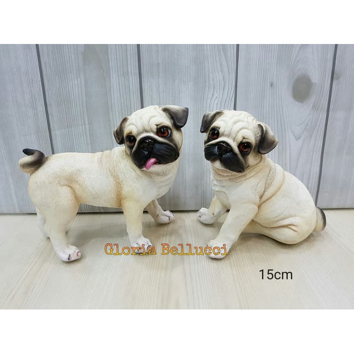 34++ Anjing pug putih update