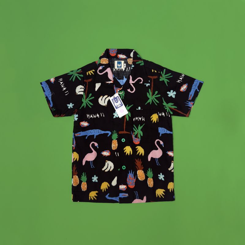 Hawaii shirt
