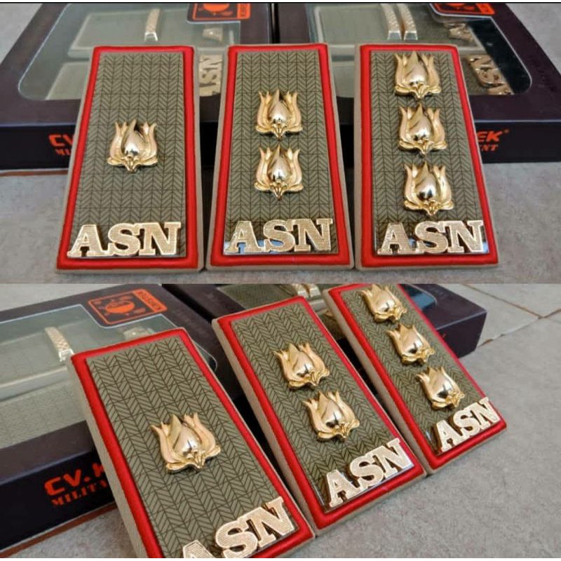 PANGKAT ASN SUMSEL PALEMBANG GOL 3D/4A/4B - EXCLUSIVE TERBAIK