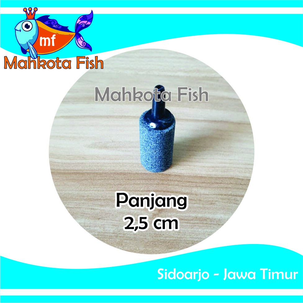 Batu Aerator PANJANG 2,5 CM | Batu Gelembung | Batu Aerasi | Airstone