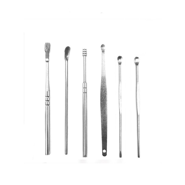 Pembersih Telinga Korek Kuping Ear Wax Picker 6 Pcs Stainless Steel