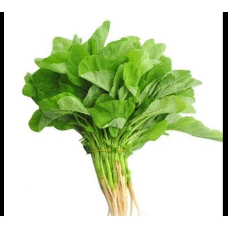 

zv bayam hijau 250 g