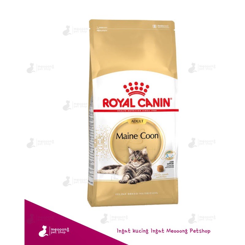 ROYAL CANIN MAINECOON ADULT 4kg