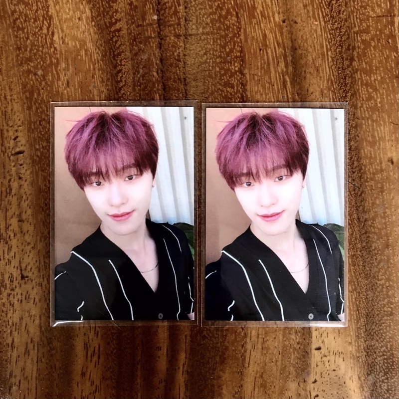 [RARE] PC BROADCAST GONGBANG GB RTL READY TO LOVE YC DINO