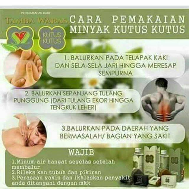 

Minyak kutus kutus