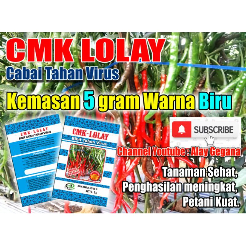 Benih cabe CMK LOLAY 5 gr EXP 05-05-2027