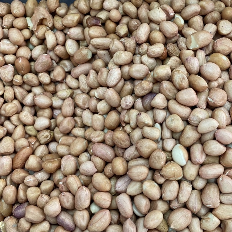 

Kacang Tanah/ Kacang Tanah Mentah/ Kacang Tanah Tuban/ Kacang Mentah 250gr