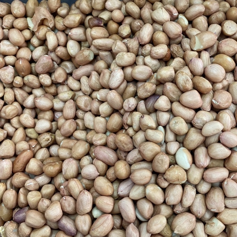 Kacang Tanah/ Kacang Tanah Mentah/ Kacang Tanah Tuban/ Kacang Mentah 250gr