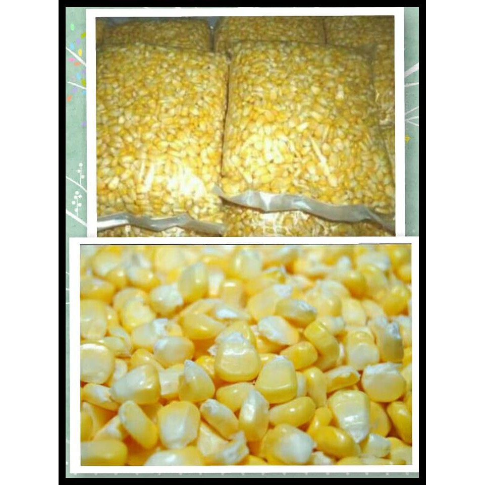 

NEW Jagung Manis Pipil / Pipilan fresh tanpa bahan pengawet