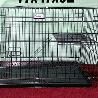 Kandang Kucing Besar Berbanjar Jual Kandang Kucing Di Lapak Kandang Alumunium Kandang