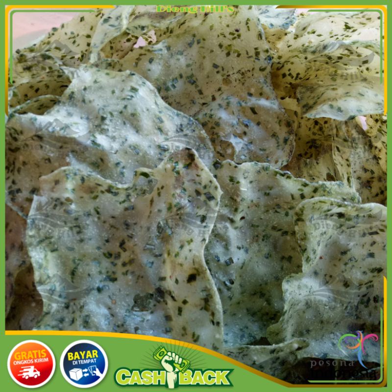 

Sekar_Shop07 Opak Kucai Besar Khas Kalibeber Wonosobo (Banggi/Mentah)