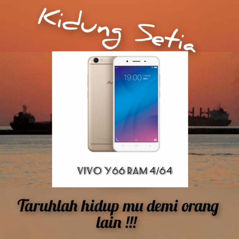 Vivo y66 4/64 Rerurbish