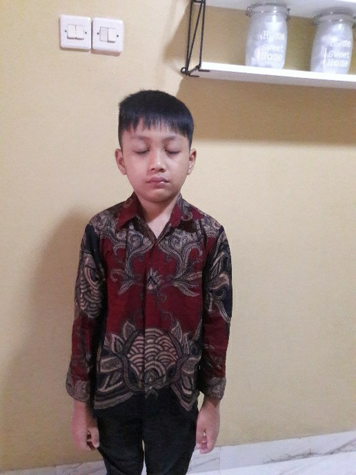 Kemeja Batik Anak - Batik Anak - Baju Batik Anak Laki Laki Umur 2-12 Tahun Hem Batik Anak Pendek