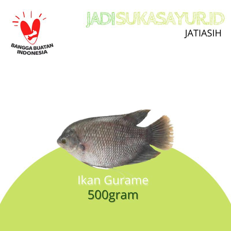 

Ikan Gurame Segar 500gram / 1Pcs - Ikan Segar Bekasi