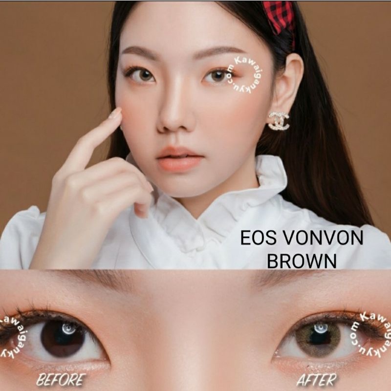 Softlens Eos Vonvon Brown Gray Blue Natural dia.14mm Normal Minus s.d -8.00