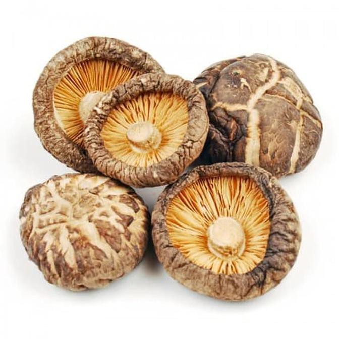 

Promo !! Dried Shitake Mushroom / Jamur Shitake / Hokio 100gr Terbaru