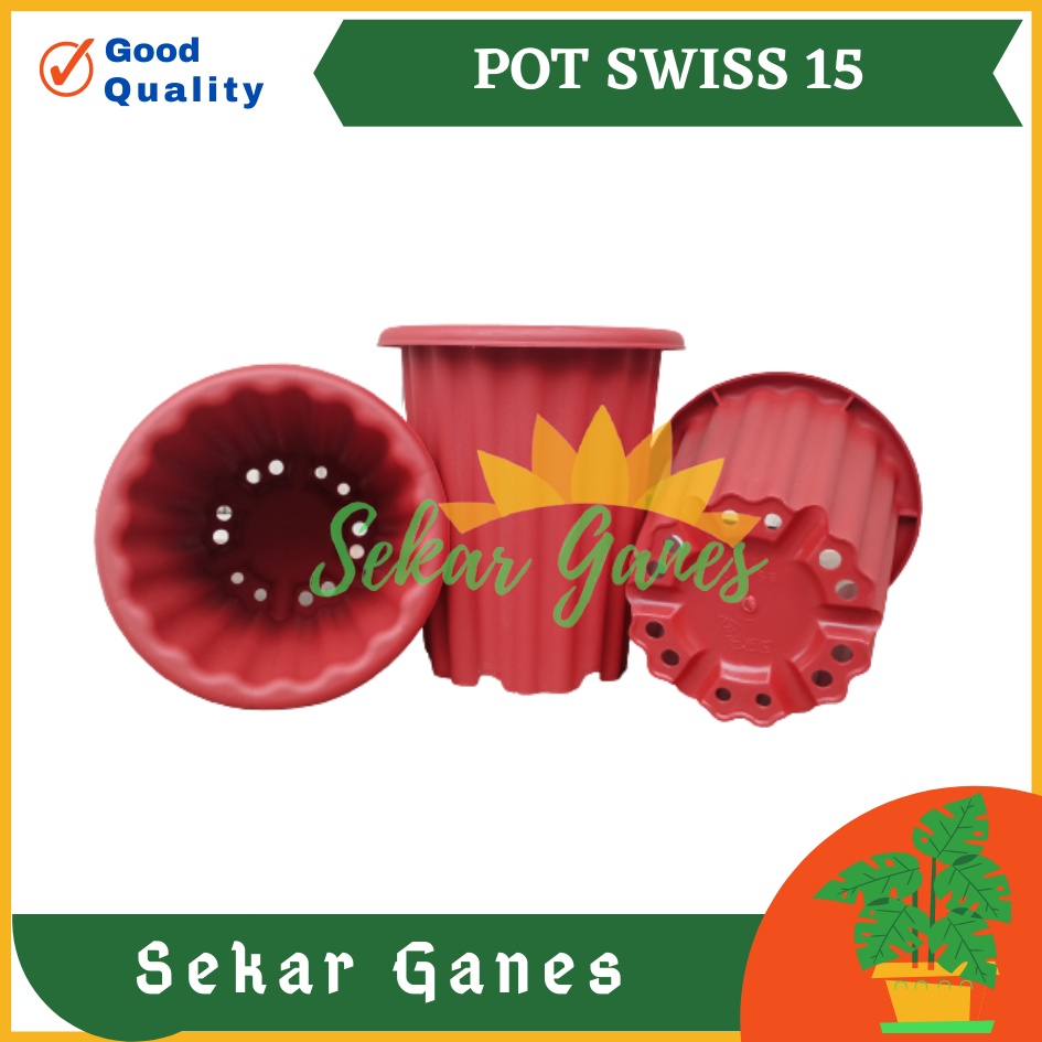 Sekarganes Pot Swiss 15 Putih Pot Yogap 10 13 15 Putih Coklat Merah Bata Bening Transparan Pot Yogap 17 18 19 Pot Yogap Murah Pot Bunga Tinggi Pirus Tegak Bagus Tebal