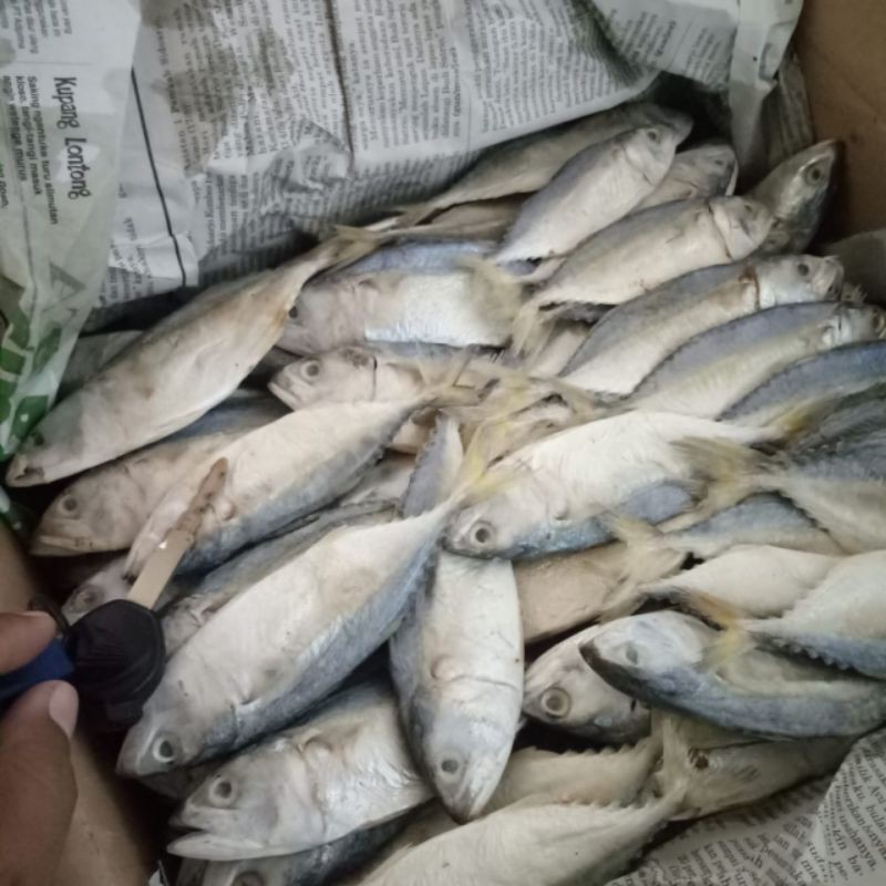 

ikan asin kembung 250g