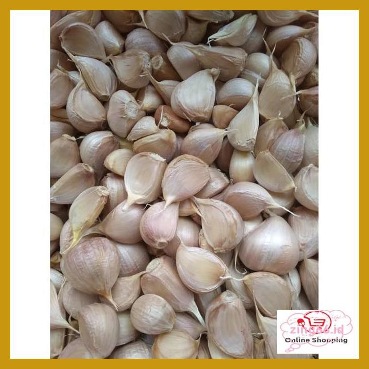 

4R6Ey46- Bawang Putih Kating R7Eye59-