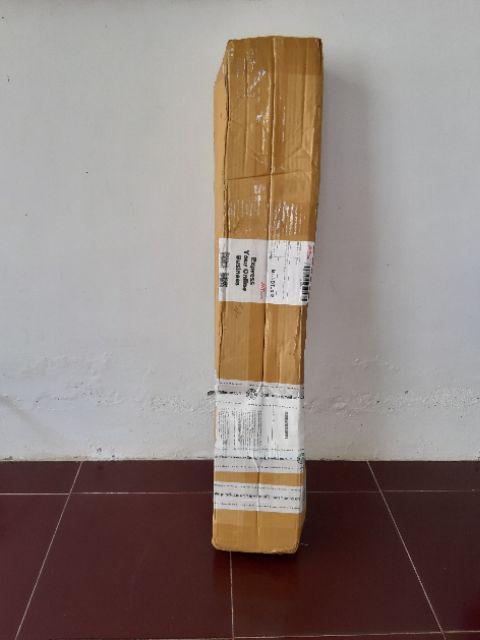 Bibit Tanaman Buah Alpukat Wina