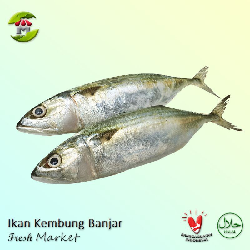 Ikan Kembung Banjar 900gr - 1.000gr