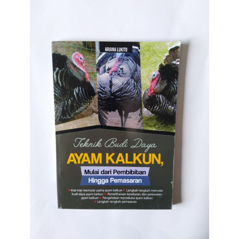 TEKNIK BUDIDAYA AYAM KALKUN, MEMULAI DARI PEMBIBITAN HINGGA PEMASARAN #Ar Ruzz Media