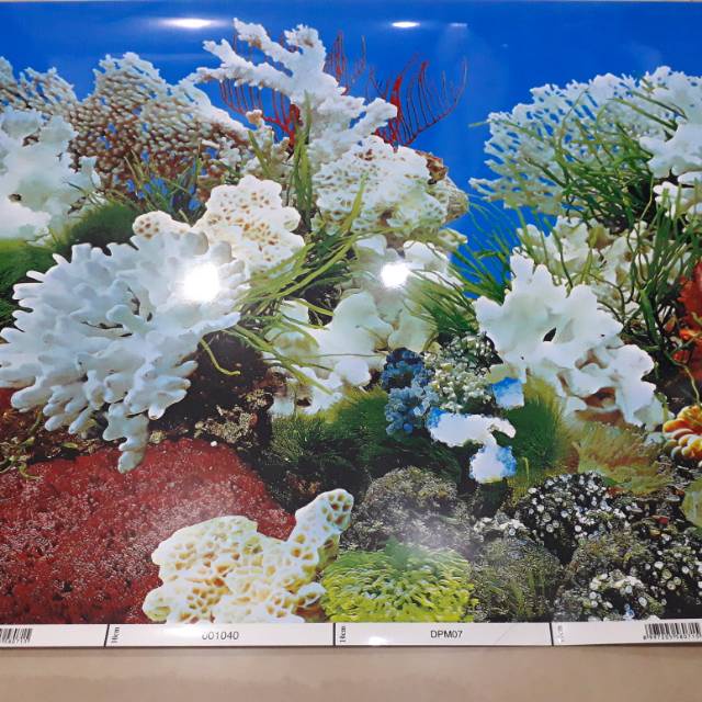 Background Aquarium/Gambar aquarium/Latar belakang aquarium Tinggi 40 cm PROMO TERMURAH