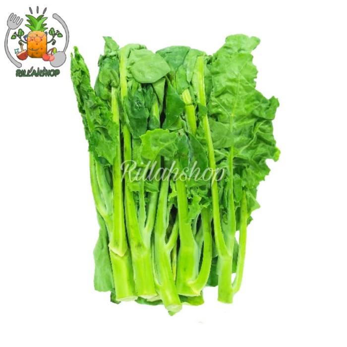 

Kailan/Sayur Kailan Kg