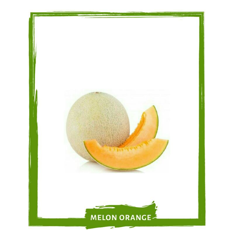 

Rock Melon / Buah Buahan Segar By Mallahrizwa