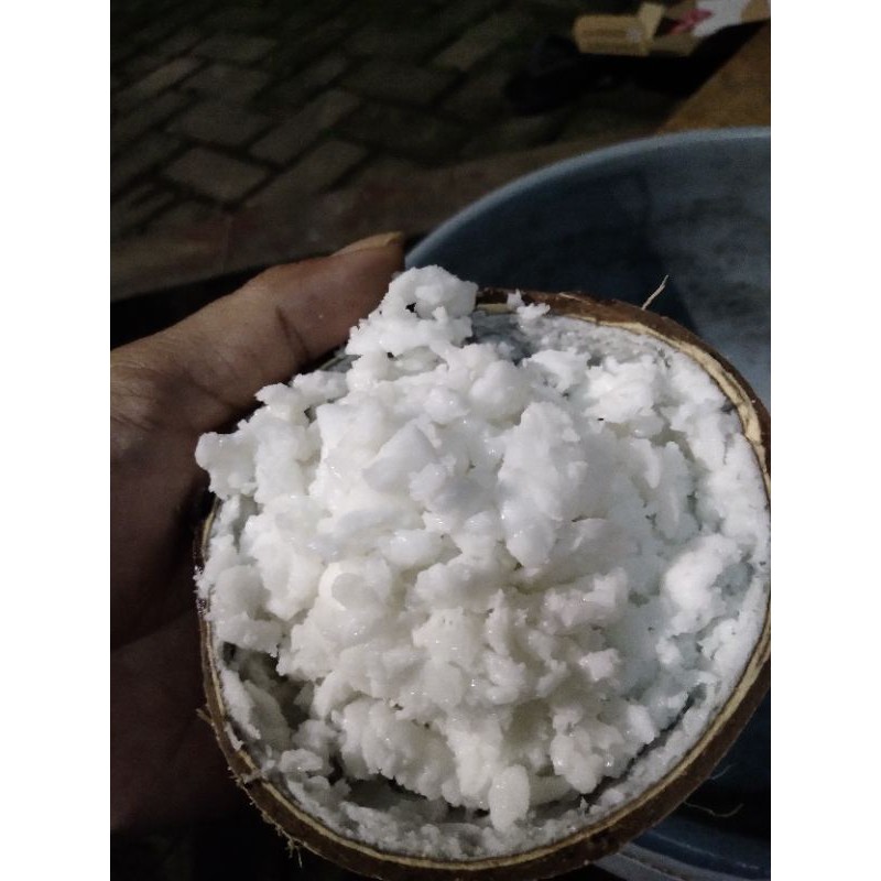 

Kelapa kopyor jumbo premium
