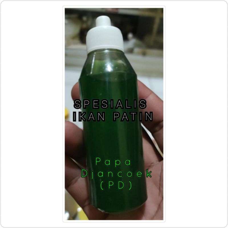 (PD) Papa Djancoek Essen oplosan Berandal Kolam