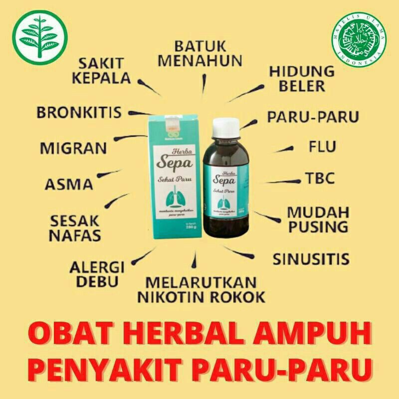 

MADU SEPA ORIGINAL - MADU HERBA SEPA ASLI - OBAT SALURAN PERNAFASAN - OBAT PARU PARU HERBAL - OBAT ASMA HERBAL - MADU BAJAKAH TAMPALA