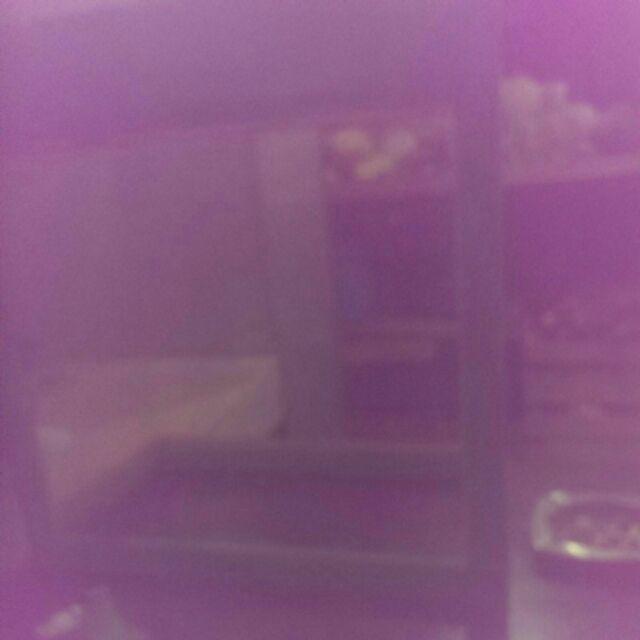 Aquarium Es Kelapa Besar Acrylic Es Buah + Gayung Lion Star Lionstar