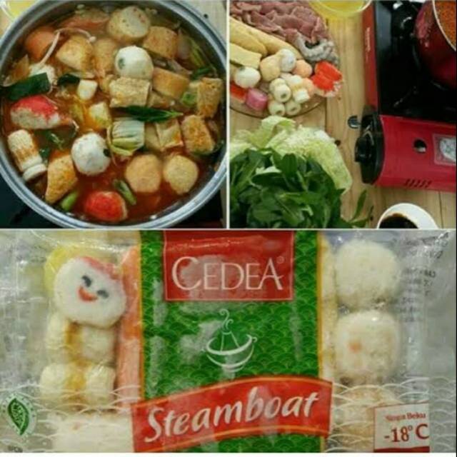 

CEDEA steamboat