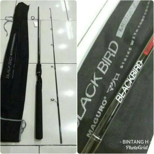 Joran Maguro Black Bird 165