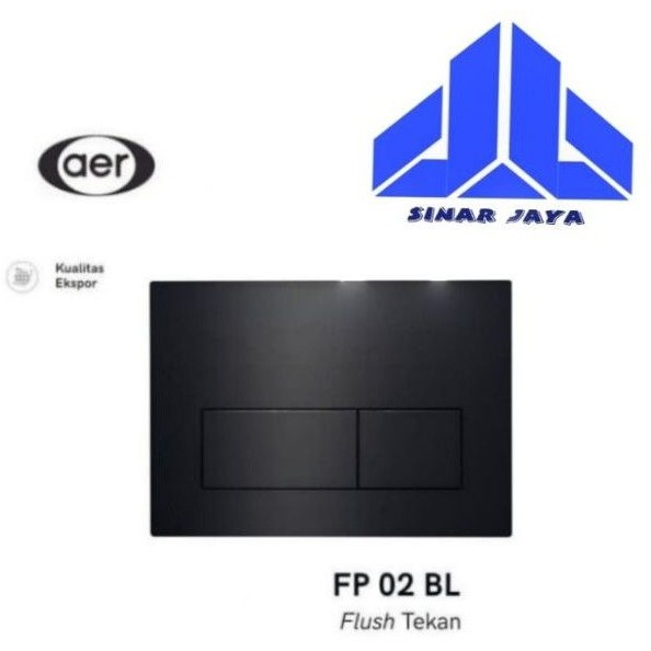 AER Push Flush Washdown Wall Hung Toilet FP 02 BL