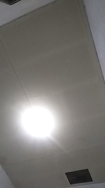 Botol Kale 250 Ml Kopi Susu Juice Jamu