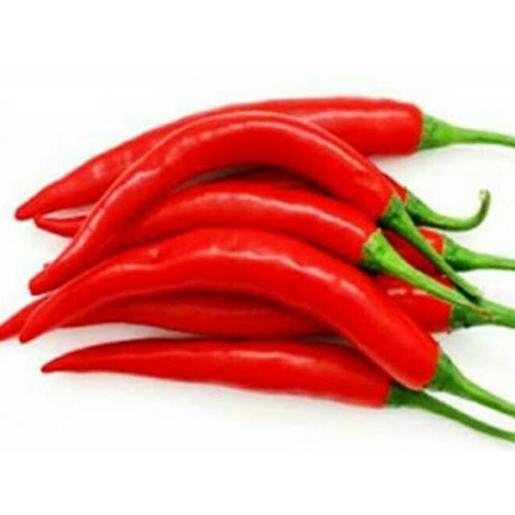Bibit Benih Biji Cabe Merah Besar Hot Pepper Chili Super Hot-Bibit Biji Tanaman Cabe Merah Besar-COD