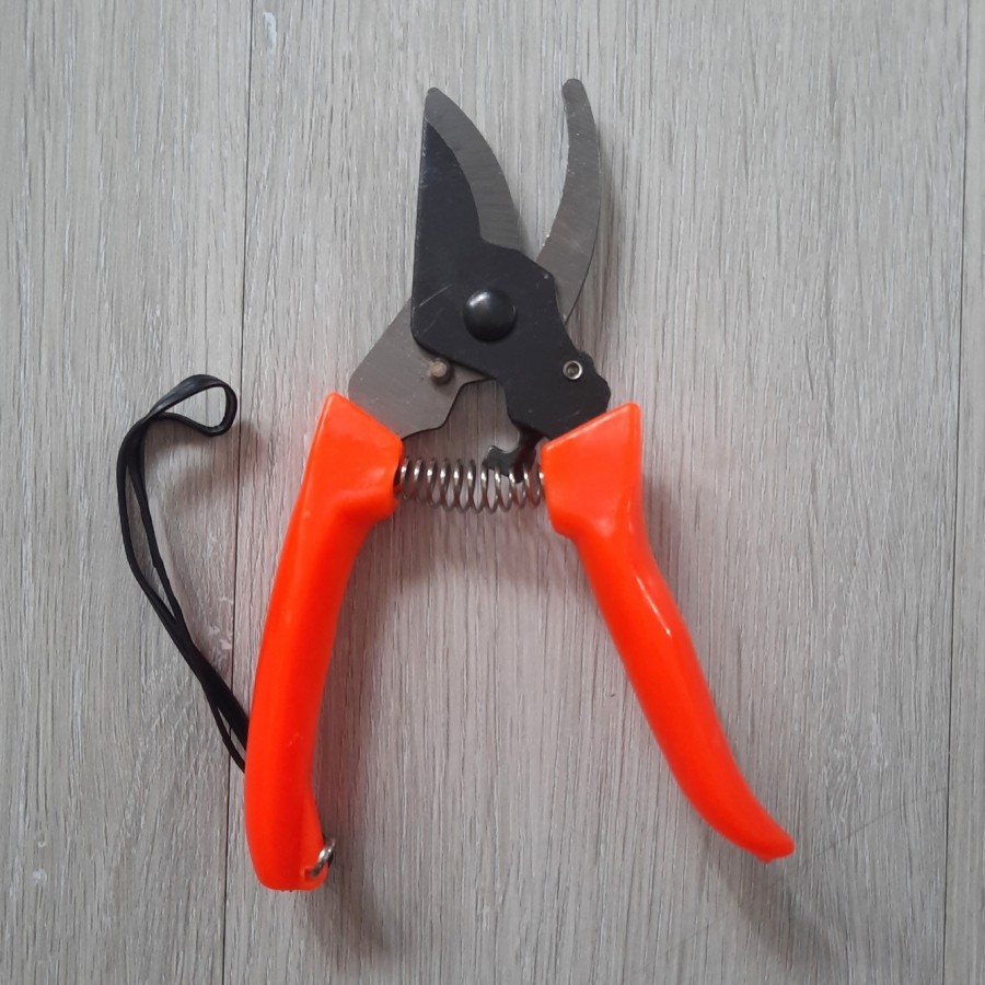 Gunting dahan gunting ranting pruning bonsai model shears