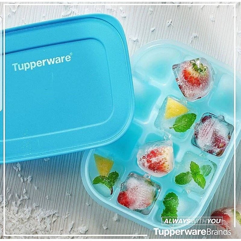 Ice Tray / Freezermate Tupperware