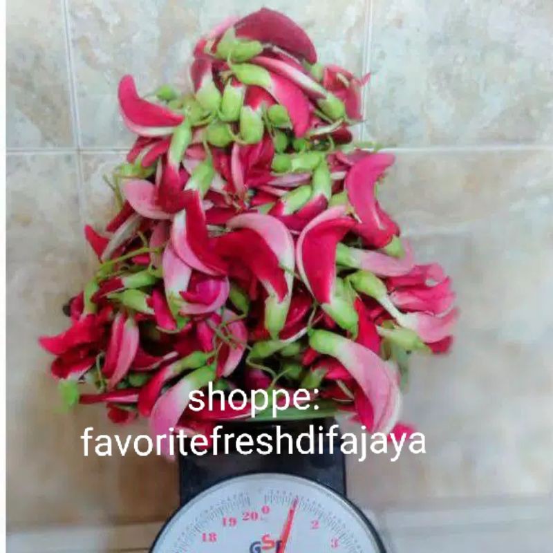 

Bunga Turi merah 1 kg fresh