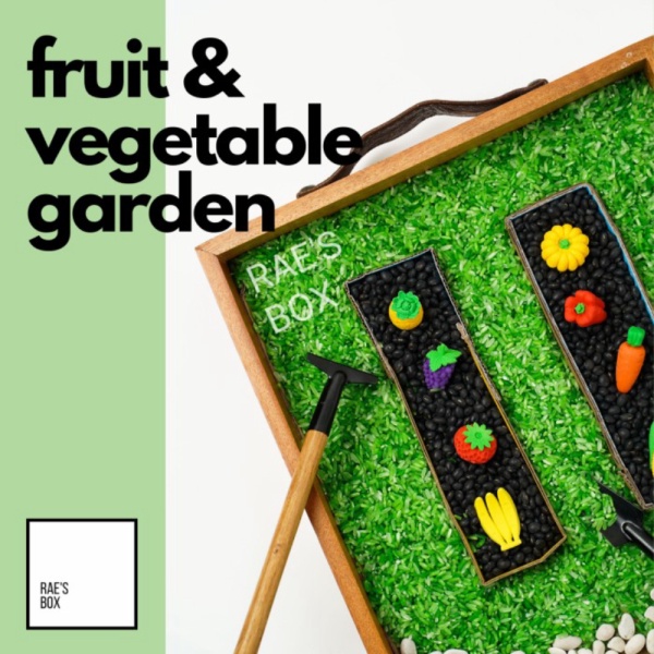 

FruitVeg Garden Sensory Kit -Mainan sensori Mainan edukasi Montessori Murah