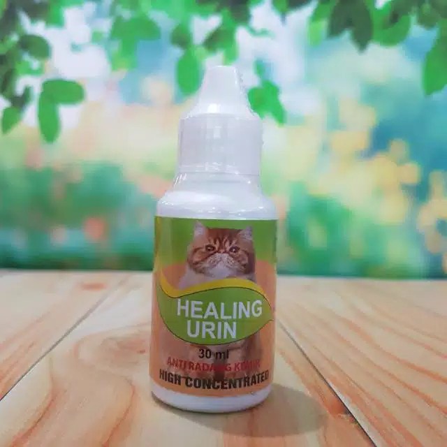 Healing Urin Anti Radang Kemih Kucing Sulit Buang Kecil