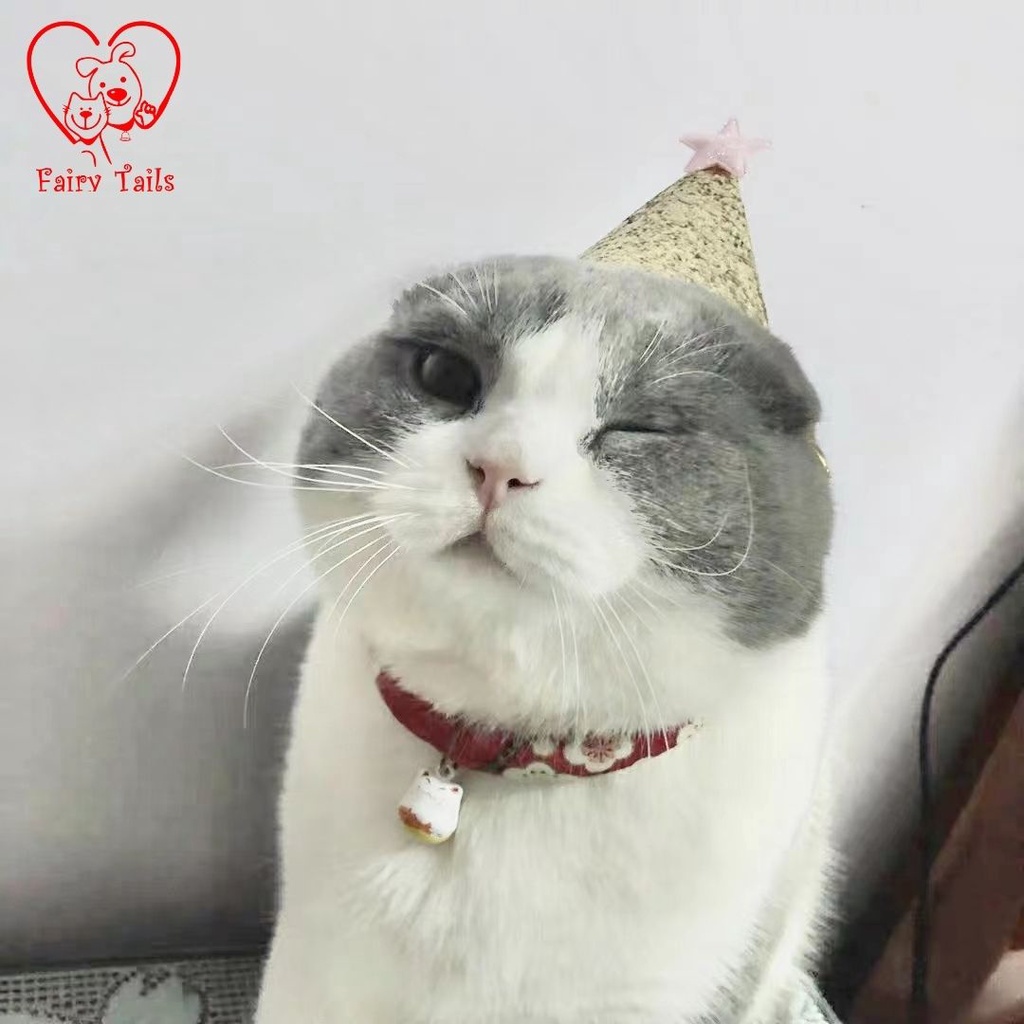 Topi Pesta Ulang Tahun Untuk Anjing dan Kucing Anabul / Birthday Party Giltter Hat Accessories For Pet / Aksesoris Ultah Anabul